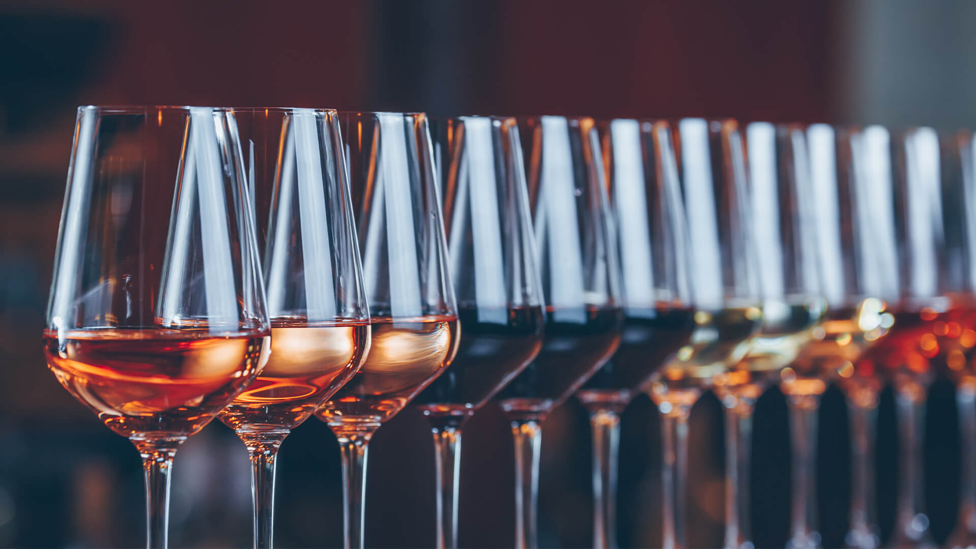 Berlin Lions Wine and Beer Tasting